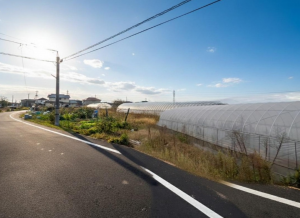 岡山市北区延友、土地の画像です