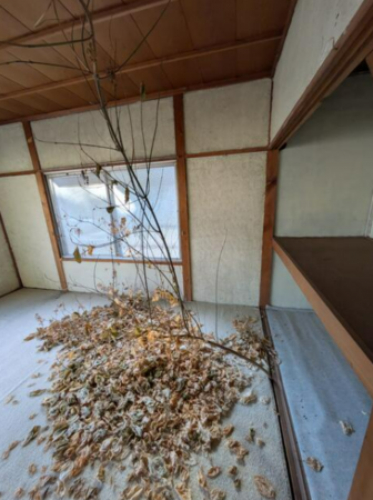 岡山市北区岩井宮裏、中古一戸建ての画像です