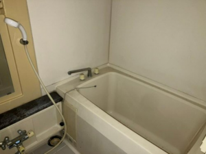 岡山市北区国体町、マンションの画像です