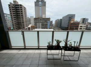 岡山市北区中山下、マンションの画像です