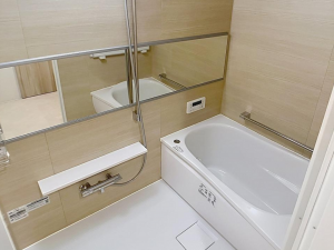 岡山市北区大元、マンションの画像です