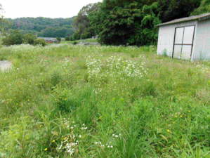 岡山市北区御津宇垣、土地の画像です