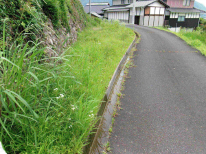 岡山市北区御津宇垣、土地の画像です
