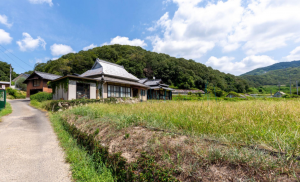 岡山市北区菅野、土地の画像です
