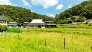 岡山市北区菅野、土地の画像です