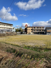 安城市別郷町、土地の画像です