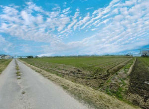 安城市小川町、土地の画像です