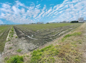 安城市小川町、土地の画像です