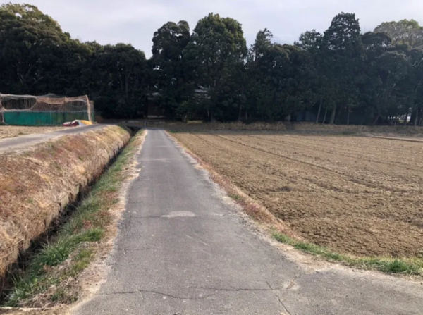安城市新田町、土地の画像です