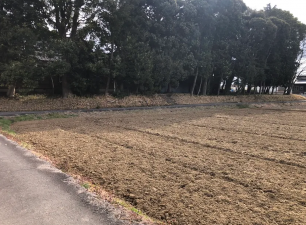安城市新田町、土地の画像です