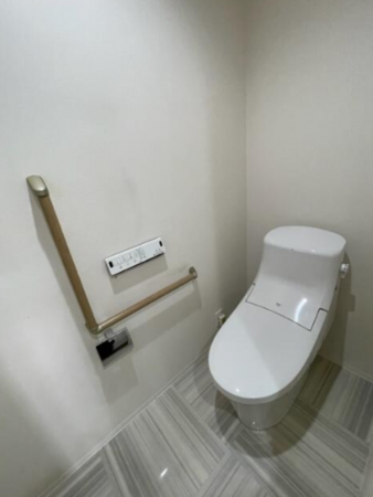 安城市三河安城南町、マンションのトイレ画像です
