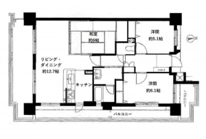 安城市三河安城本町、マンションの間取り画像です