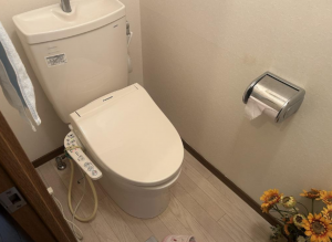 安城市箕輪町、マンションのトイレ画像です