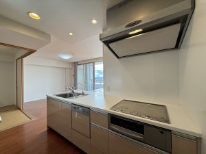 安城市横山町、マンションのキッチン画像です