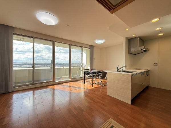 安城市横山町、マンションの居間画像です