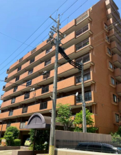 安城市御幸本町、マンションの外観画像です