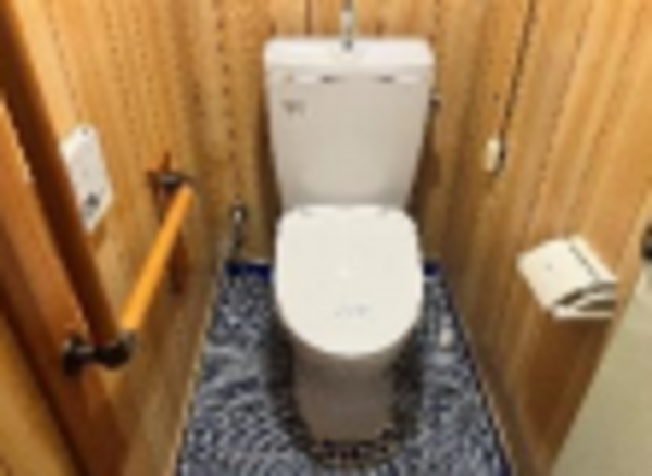堺市堺区、中古一戸建てのトイレ画像です