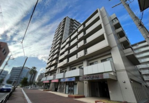 堺市堺区翁橋町、マンションの外観画像です