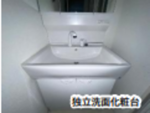 堺市堺区中之町西、マンションの洗面画像です