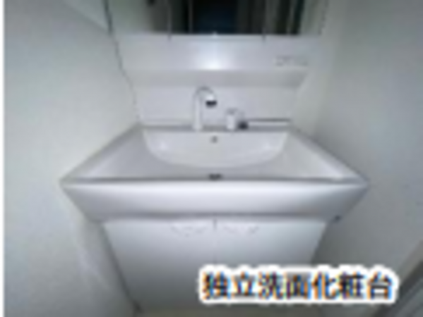 堺市堺区中之町西、マンションの洗面画像です