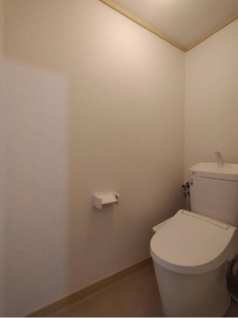 堺市堺区南半町東、マンションのトイレ画像です