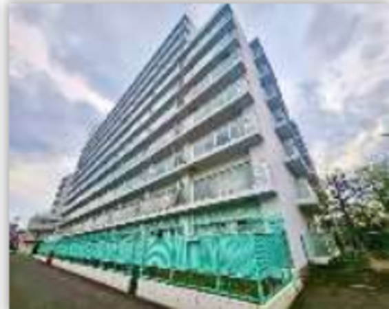 堺市堺区北庄町、マンションの外観画像です