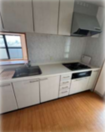 堺市堺区向陵中町、マンションのキッチン画像です