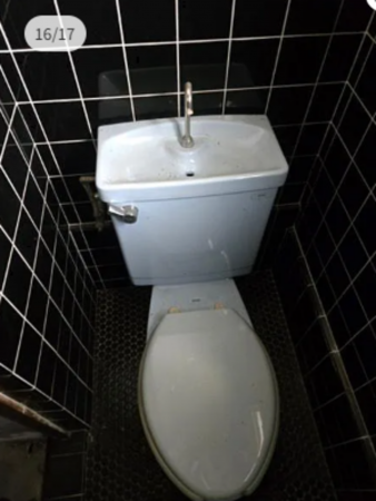 堺市堺区大浜北町、中古一戸建てのトイレ画像です
