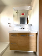 堺市堺区北庄町、マンションの洗面画像です