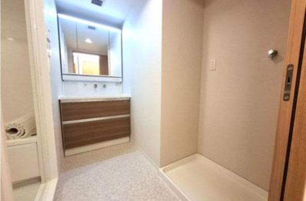 堺市堺区宿屋町東、マンションの洗面画像です
