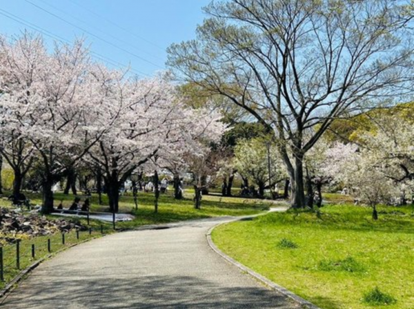 堺市堺区東上野芝町、土地の画像です