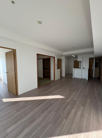 堺市堺区田出井町、マンションの内装画像です