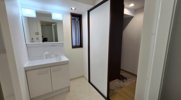 堺市堺区大浜北町、マンションの洗面画像です