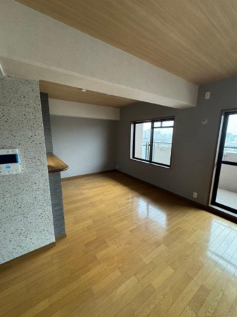 堺市堺区柳之町東、マンションの内装画像です