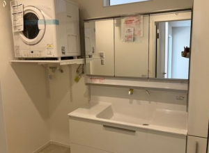 堺市堺区、新築一戸建ての洗面画像です