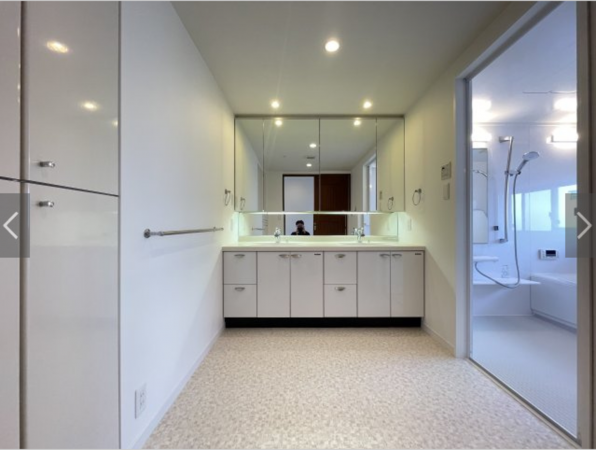 堺市堺区向陵西町、マンションの洗面画像です