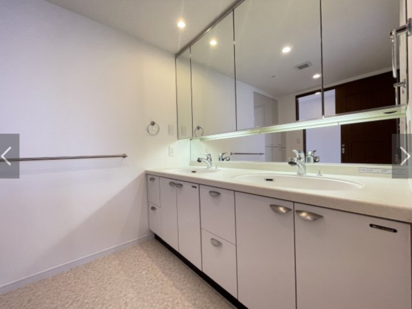 堺市堺区向陵西町、マンションの洗面画像です