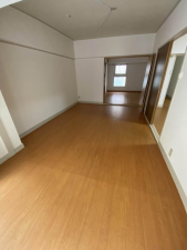 堺市堺区、マンションの内装画像です