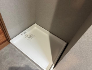 堺市堺区翁橋町、マンションの洗面画像です