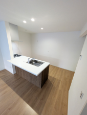 堺市堺区老松町、新築一戸建ての内装画像です