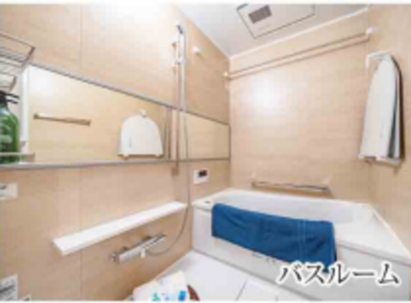 堺市堺区宿院町西、マンションの風呂画像です