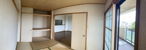 堺市堺区石津町、マンションの内装画像です