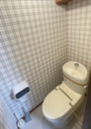 堺市堺区錦綾町、中古一戸建てのトイレ画像です