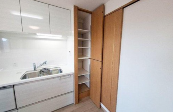 堺市堺区向陵中町、マンションのキッチン画像です