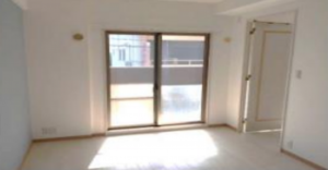 堺市堺区錦之町西、マンションの画像です