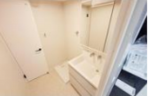 堺市堺区神明町東、マンションの洗面画像です