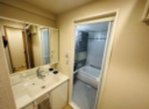 堺市堺区中安井町、マンションの洗面画像です