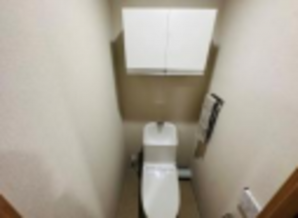 堺市堺区中安井町、マンションのトイレ画像です