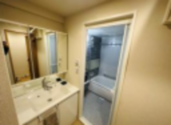 堺市堺区中安井町、マンションの洗面画像です