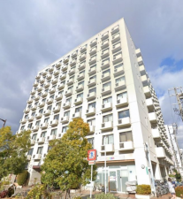 堺市堺区竜神橋町、マンションの画像です